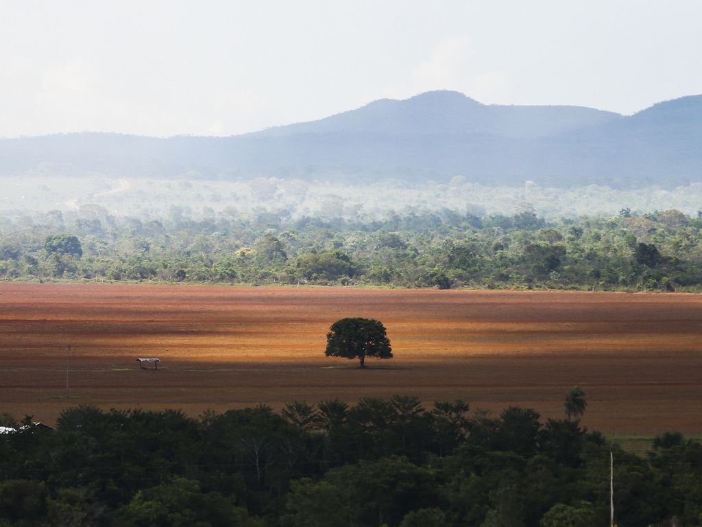 Foto: Marcelo Camargo/Agência Brasil