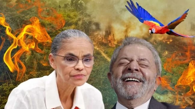 Foto: Montagem/Reprodução