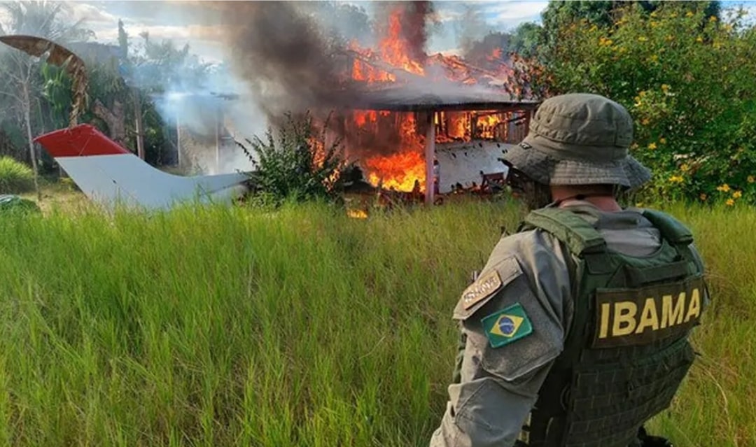 Foto: Divulgação/Ibama